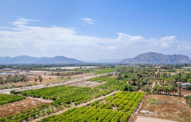 Nieuwbouw - Ground floor apartment - Jacarilla - pueblo