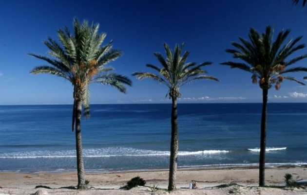 Nieuwbouw - Top Floor Bungalow - Pilar de la Horadada - Parque Ramon eugenio Escudero