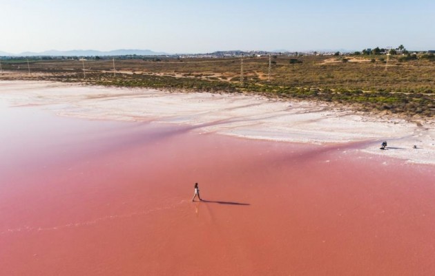 Nueva construcción  - Apartamento - Torrevieja - Playa de El Cura