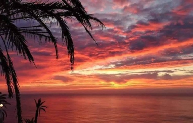 Nieuwbouw - Ground Floor Bungalow - Torrevieja - Altos del Sol