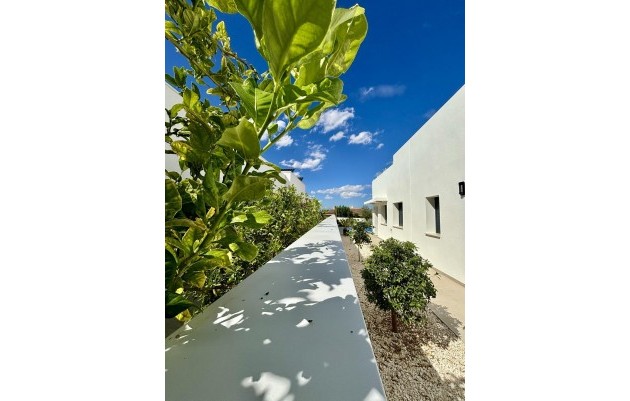 Nieuwbouw - Villa - Benijofar - Pueblo