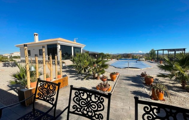 Nieuwbouw - Villa - Pinoso - Camino Del Prado