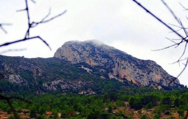 Nouvelle construction - Villa - La Romana - Batistes