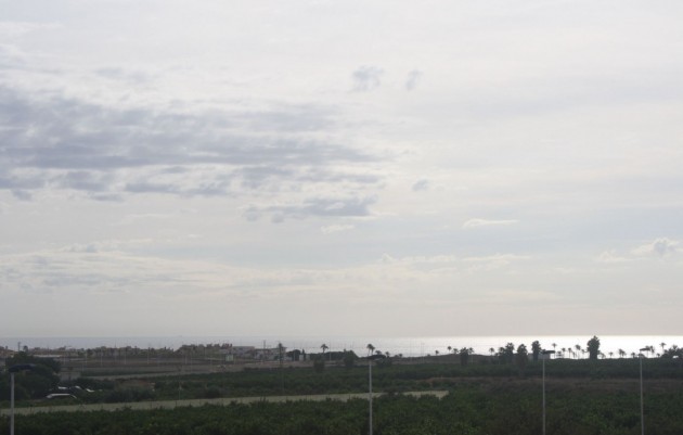 Nouvelle construction - Town House - Torrevieja - Los altos