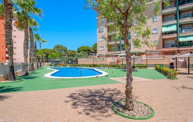 Herverkoop - 1. Apartment / flat - Guardamar del Segura