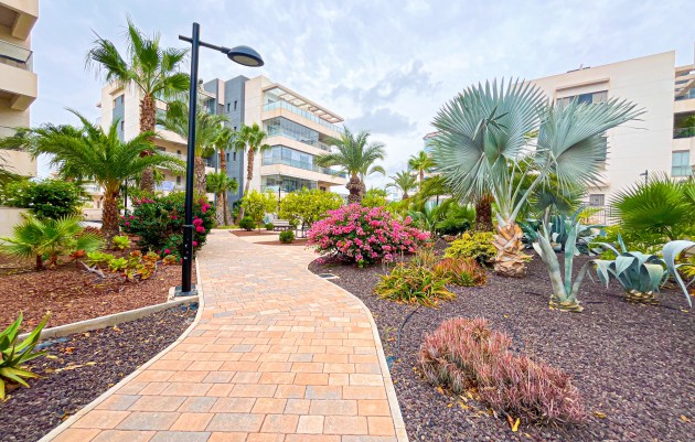 Herverkoop - Appartement - Orihuela - Orihuela Costa