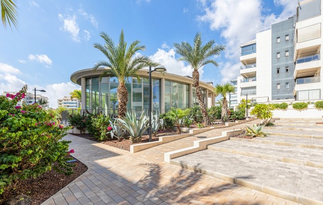 Herverkoop - Appartement - Orihuela - Orihuela Costa