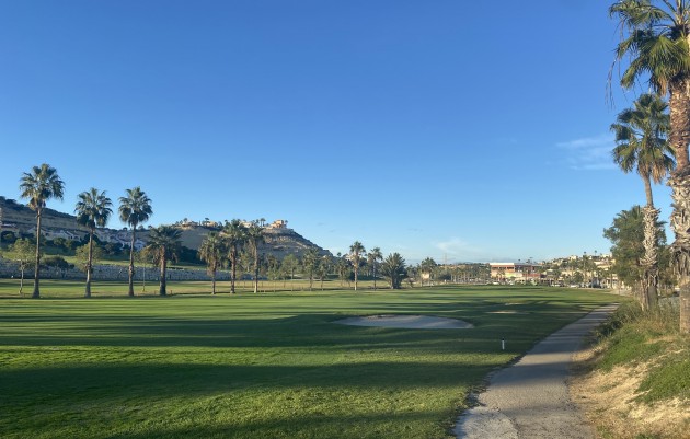 Nouvelle construction - Villas - Rojales