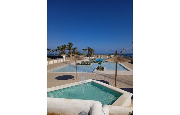 Nouvelle construction - Penthouses - Denia