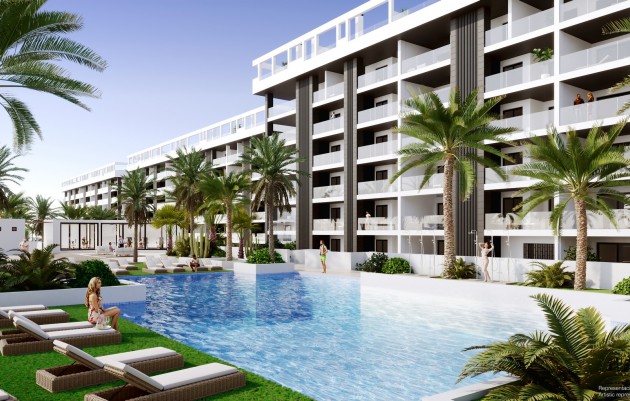 Nouvelle construction - Penthouses - Torrevieja