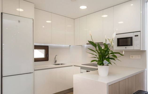 Nueva construcción  - Penthouses - Finestrat