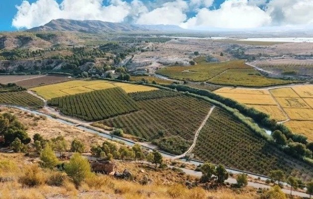 Nueva construcción  - Villa - Calasparra - Coto riñales