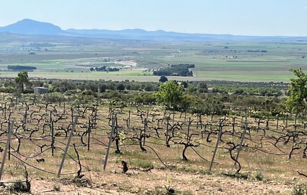 Nouvelle construction - Villa - Yecla