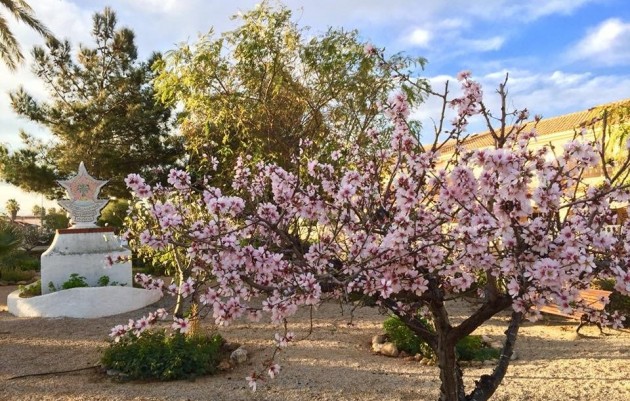 Nueva construcción  - Villa - LOS URRUTIAS - ESTRELLA DE MAR