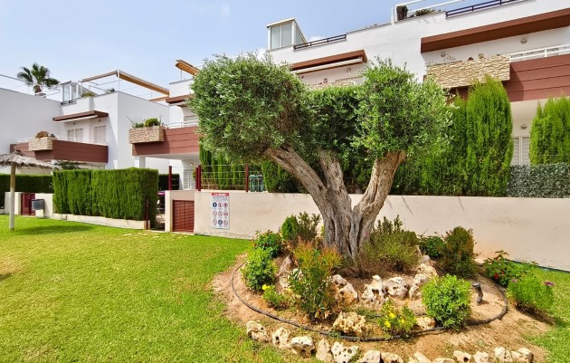 Herverkoop - Appartement - Orihuela Costa - La Ciñuelica