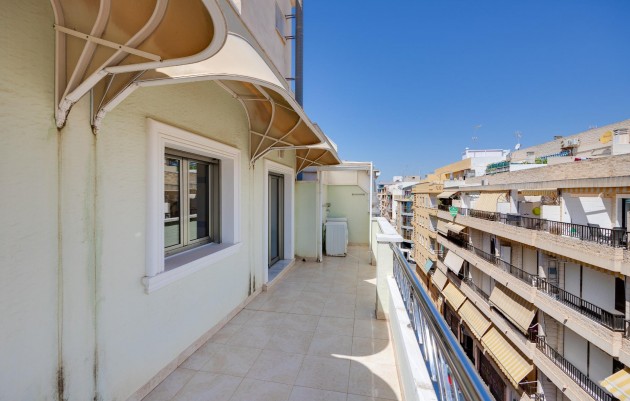 Resale - Apartment - Torrevieja - Paseo Maritimo
