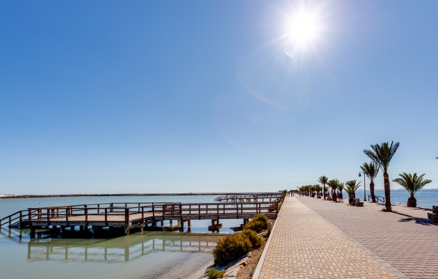 Nouvelle construction - Villas - Pilar de la Horadada