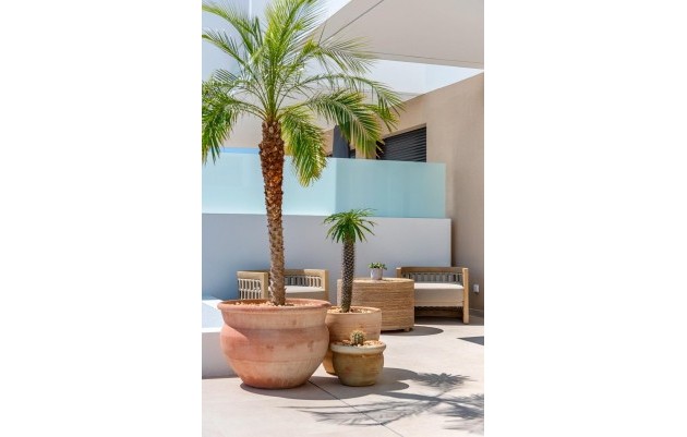 Nieuwbouw - Semidetached - Dolores - Sector 3