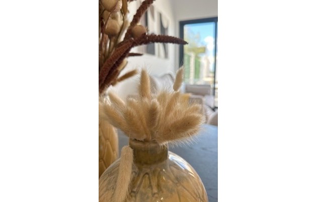 Nieuwbouw - Ground Floor Bungalow - San Fulgencio - Pueblo