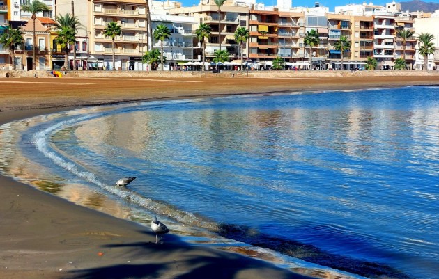 Nieuwbouw - Ground Floor Bungalow - Fuente Álamo - La Pinilla