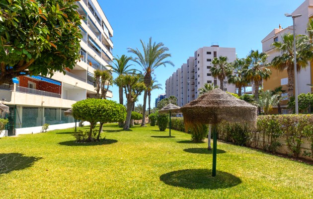 Herverkoop - Appartement - Torrevieja - Rocio del Mar