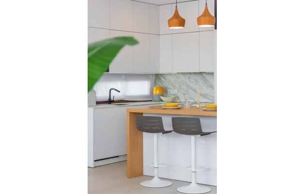 Nouvelle construction - Villa - Vera - Vera playa