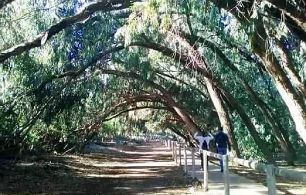 Nueva construcción  - Top Floor Bungalow - Torrevieja - Altos del Sol