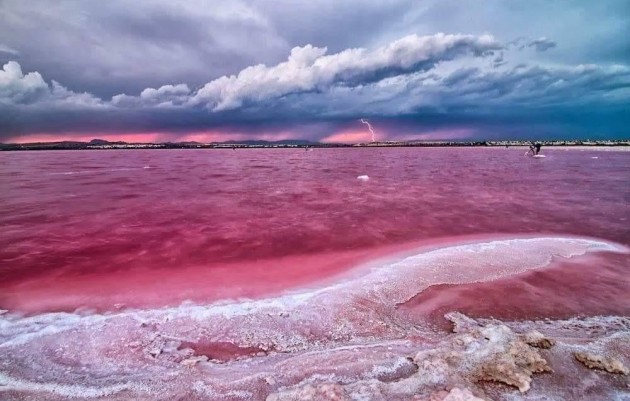 Nueva construcción  - Top Floor Bungalow - Torrevieja - Altos del Sol