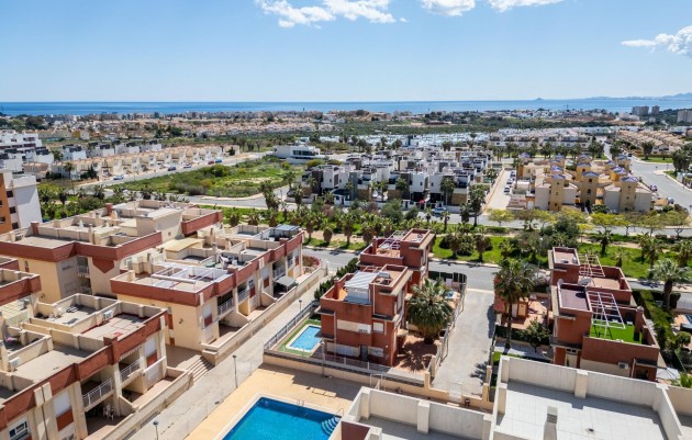 Nouvelle construction - Penthouse - Orihuela Costa - Lomas de Cabo Roig