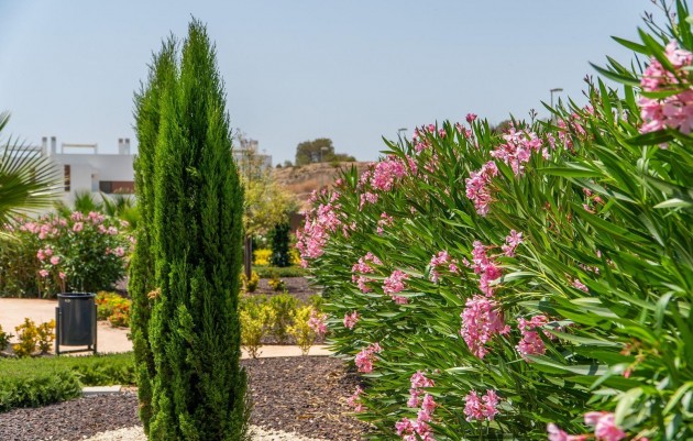 Nieuwbouw - Top Floor Bungalow - Orihuela - Vistabella Golf