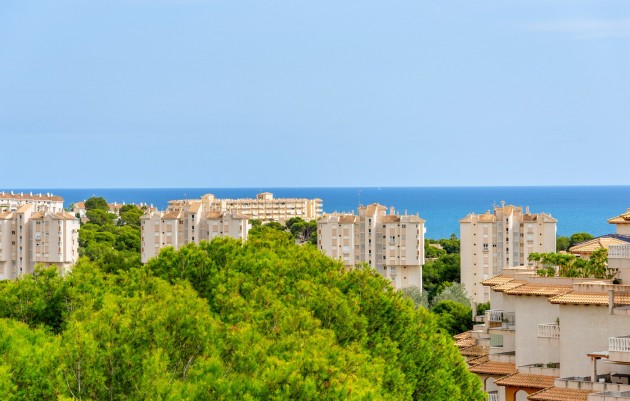 Herverkoop - 1. Apartment / flat - Alicante - Campoamor