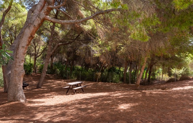 Herverkoop - 1. Apartment / flat - Alicante - Campoamor