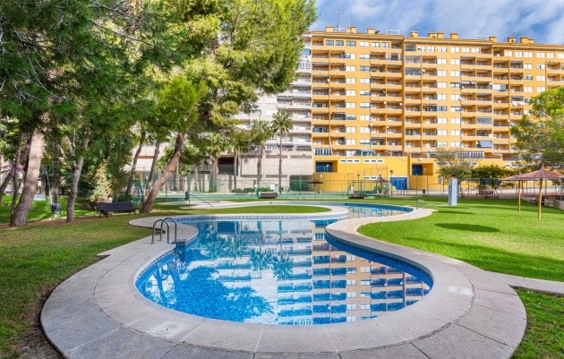 Herverkoop - 1. Apartment / flat - Alicante - Campoamor