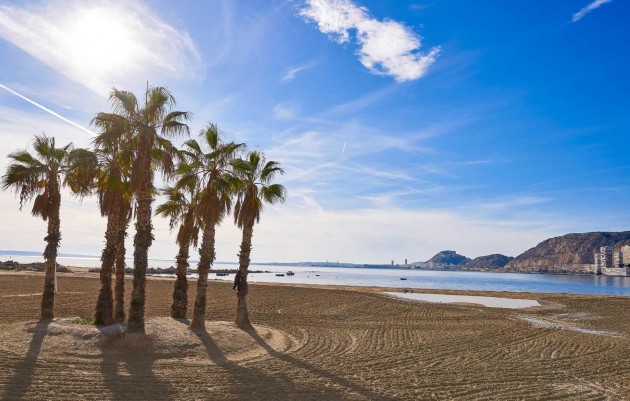 Nieuwbouw - Villa - Els Poblets - Partida Barranquets