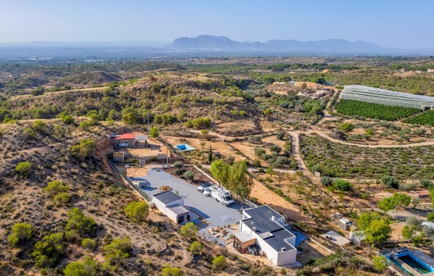 Resale - 5. Finca / Country Property - Crevillente