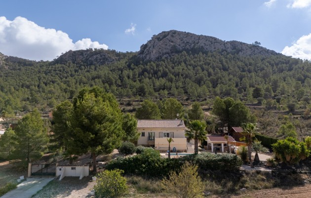 Revente - Independent villa - La Zarza