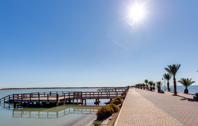 Nieuwbouw - Villa - Pilar de la Horadada