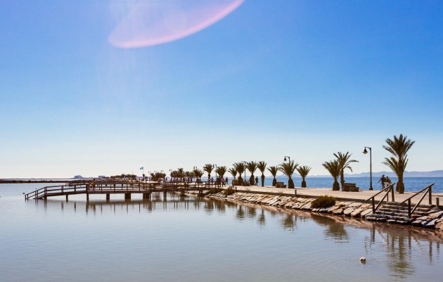 Nieuwbouw - Villa - Pilar de la Horadada