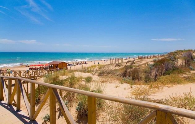 Nueva construcción  - Ático - Guardamar del Segura - Pueblo