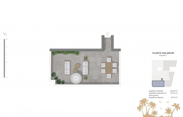 Nieuwbouw - Penthouse - Guardamar del Segura - Pueblo