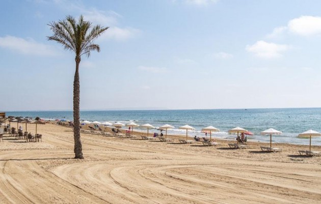 Nieuwbouw - Appartement - Guardamar del Segura - Pueblo