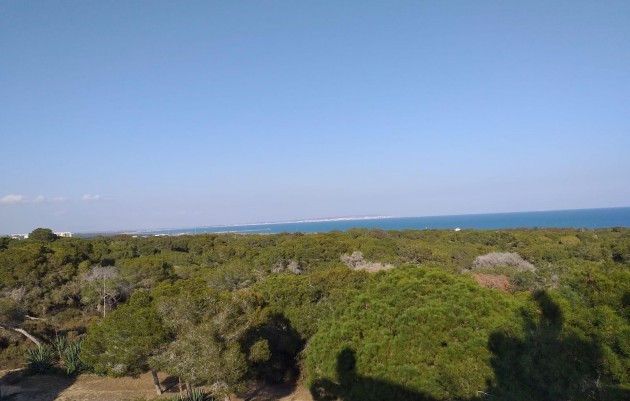 Nieuwbouw - Penthouse - Guardamar del Segura - Pueblo