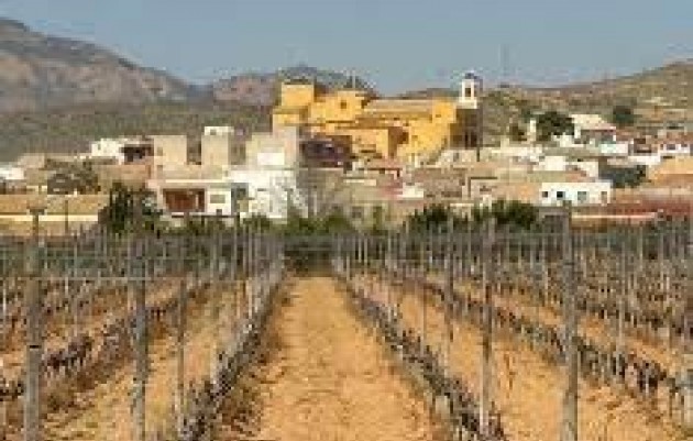 Nieuwbouw - Top Floor Bungalow - Hondón de las Nieves - El Salero