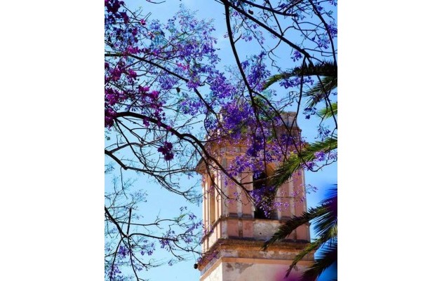 Nouvelle construction - Terraced houses - Denia