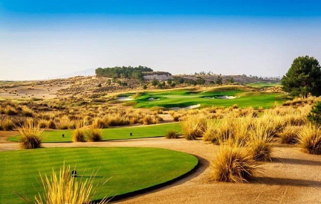 Nouvelle construction - Villa - Alhama de Murcia - Condado de Alhama