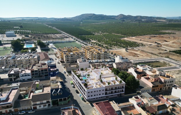Nouvelle construction - Penthouses - Algorfa