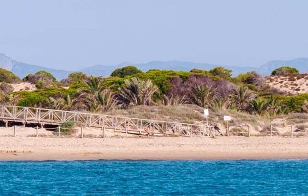 Nueva construcción  - Ático - Guardamar del Segura - Pueblo