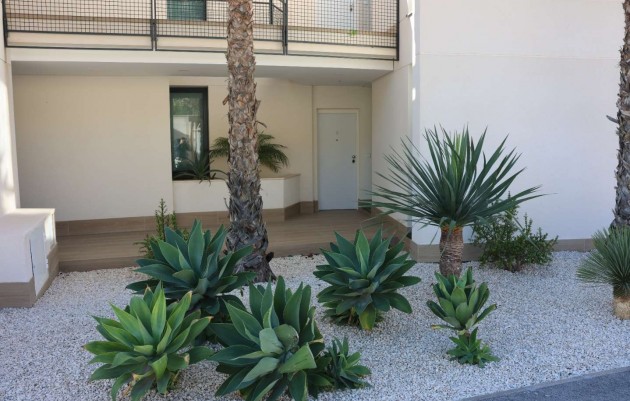 Herverkoop - Appartement - Monforte del Cid - Font del Llop