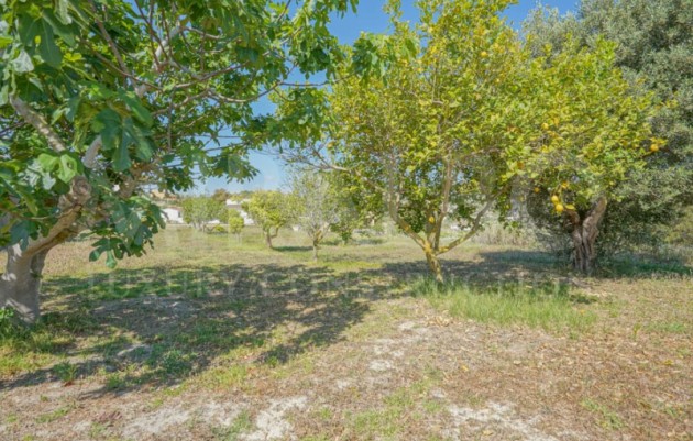 Resale - Farm - Benitachell / El Poble Nou de Benitatxell - Centro