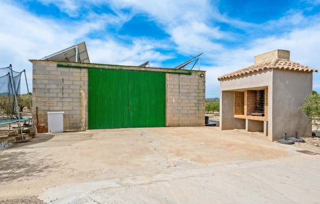 Revente - 5. Finca / Country Property - El Esparragal